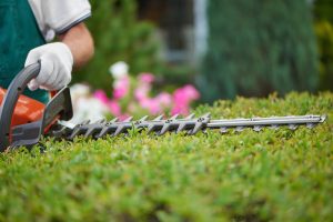 Professional Gardener, Working With Garden Equipmentl